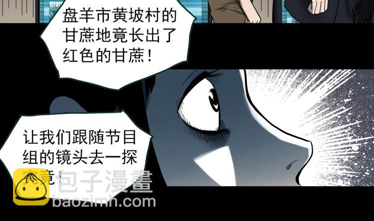 🍸怪奇实录 第376话 甘蔗地 第38页