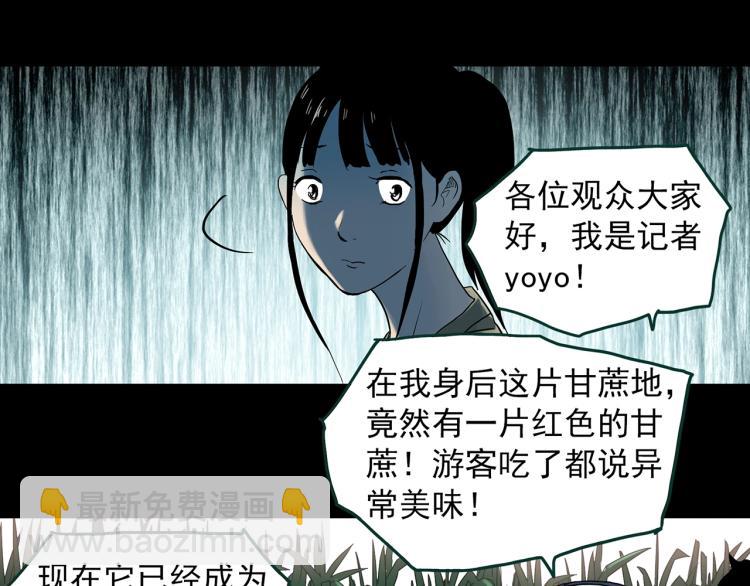 🍸怪奇实录 第376话 甘蔗地 第39页