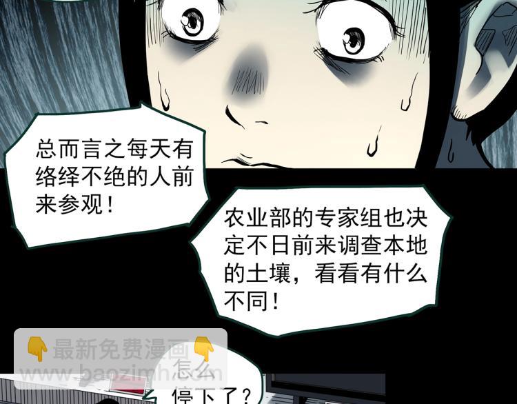 🍸怪奇实录 第376话 甘蔗地 第42页