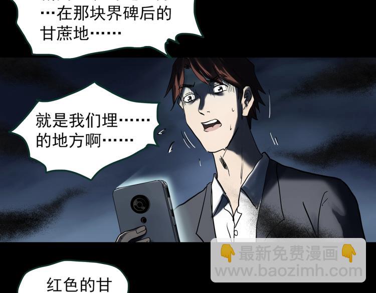 🍸怪奇实录 第376话 甘蔗地 第46页