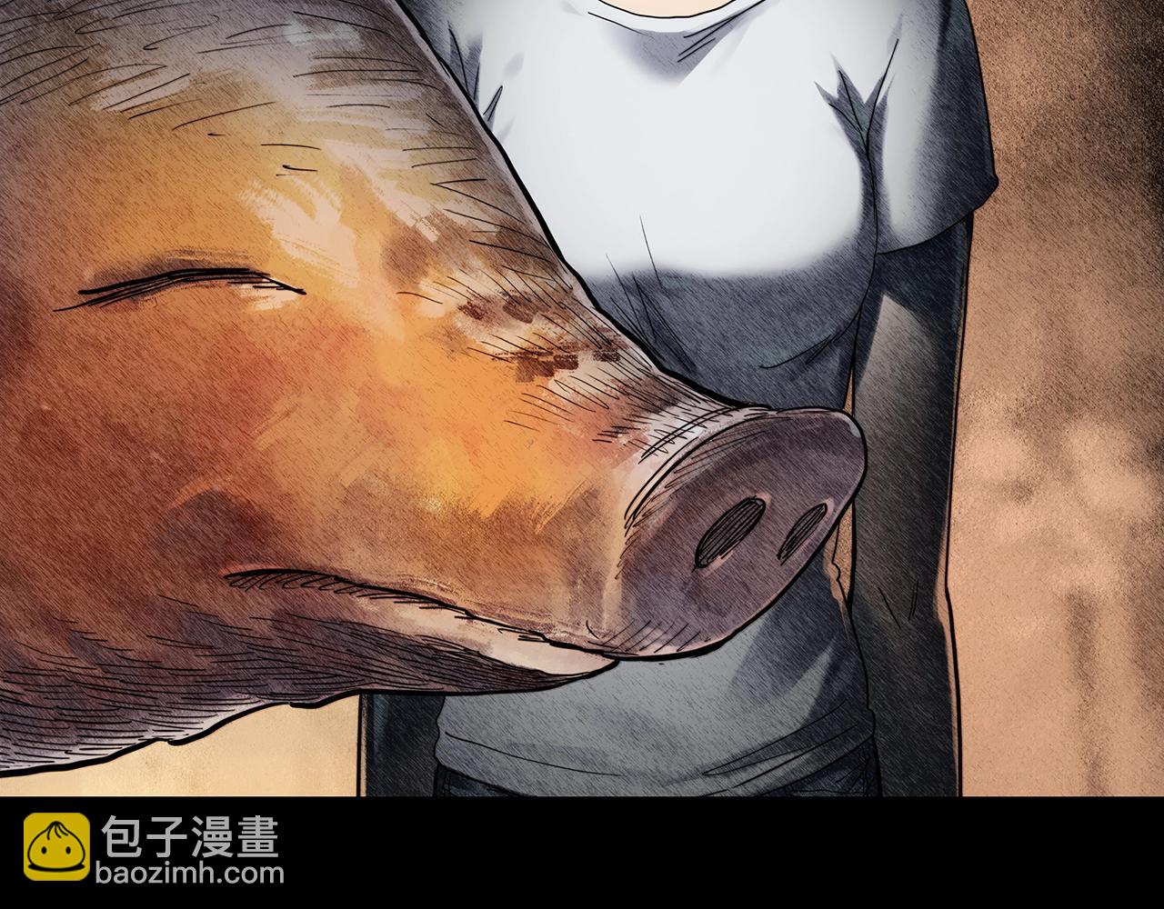 🍸怪奇实录 第440话 无头村之猪头 第2页