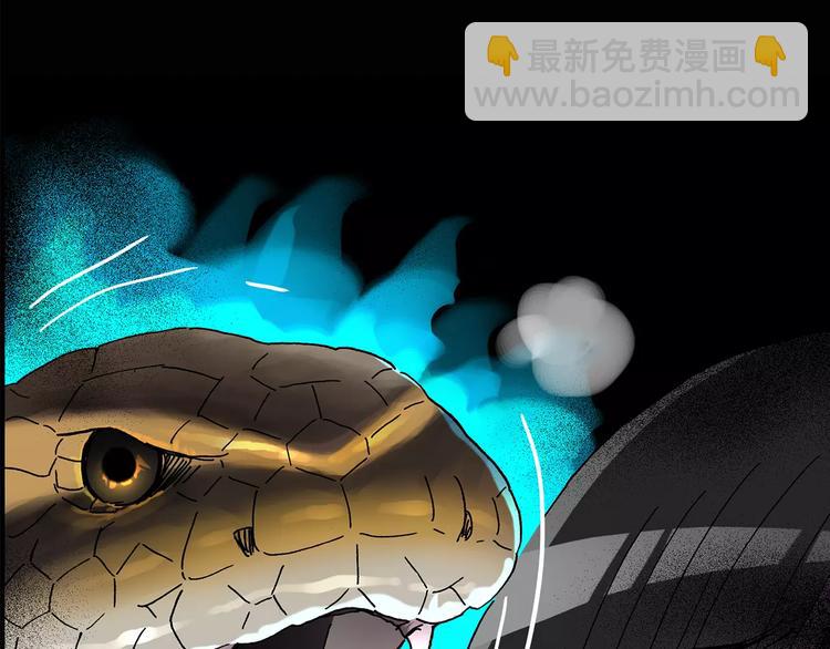 🍸怪奇实录 第80话 蛇之诅咒（十二） 第46页