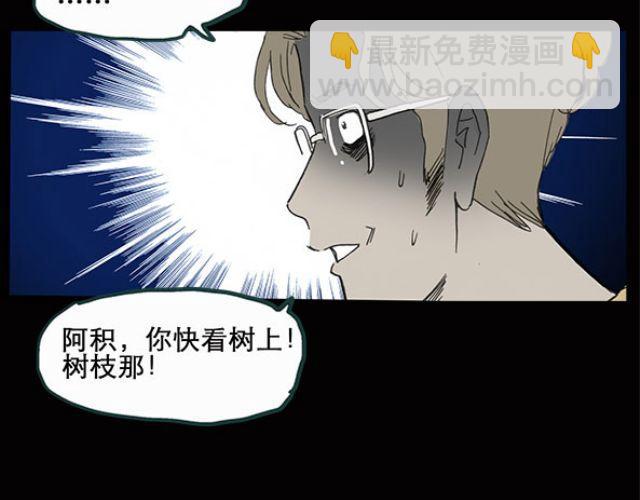 🍸怪奇实录 第10话 配偶树（上） 第13页