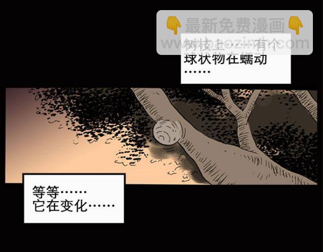 🍸怪奇实录 第10话 配偶树（上） 第14页