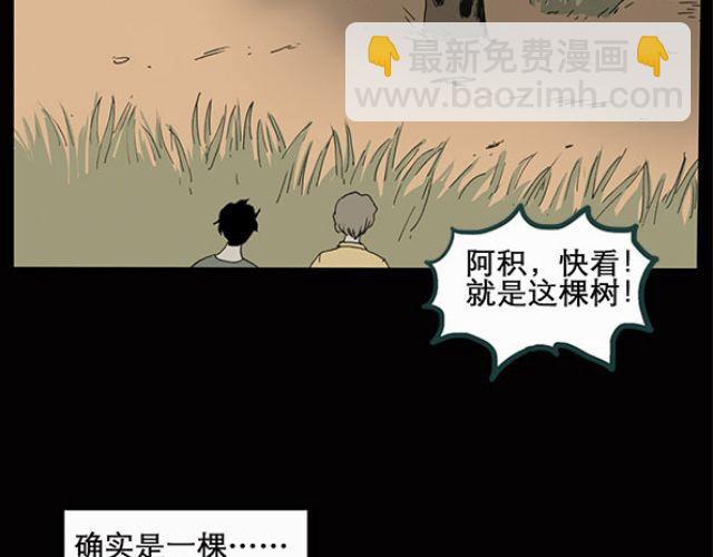 🍸怪奇实录 第10话 配偶树（上） 第5页