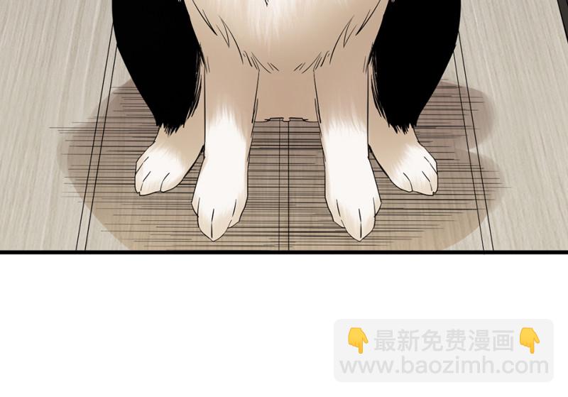 宠物食粮&middot;三(1/3)-第70话