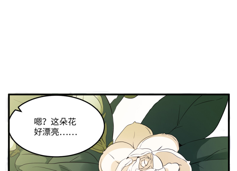 宠物食粮&middot;三(1/3)-第70话