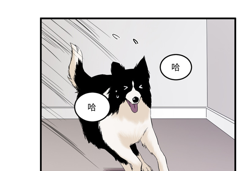 宠物食粮&middot;三(1/3)-第70话