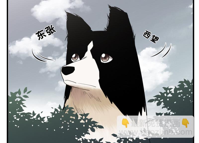 宠物食粮&middot;五(1/3)-第72话