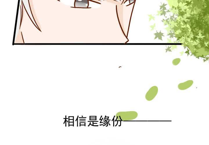 第35话    蝙蝠和猫猫(1/2)-第36话