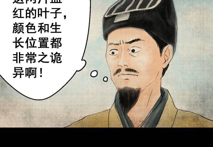 第29话 并蒂莲（一）(1/2)-第32话