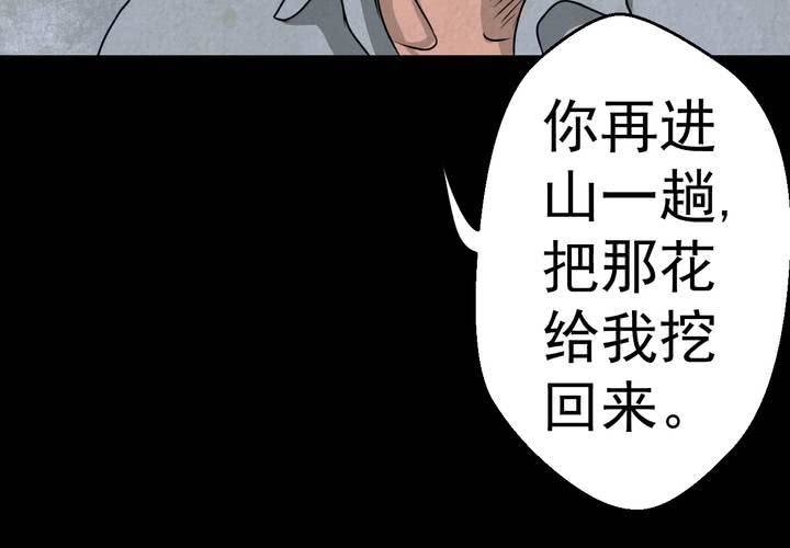 第46话 雷公花-今生（下）(1/2)-第50话