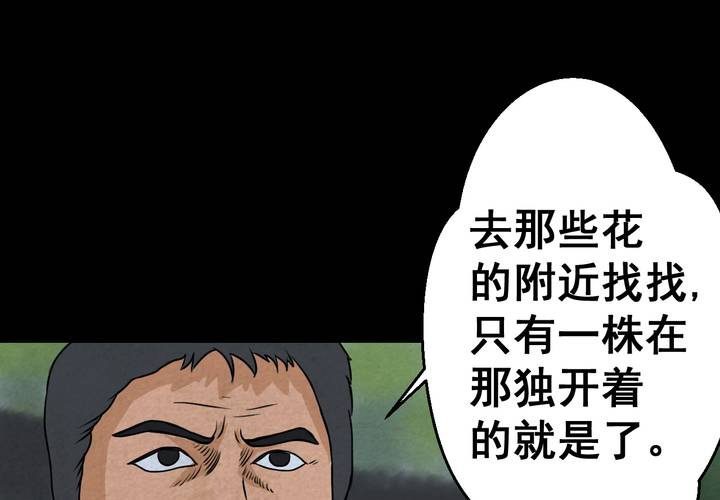 第46话 雷公花-今生（下）(1/2)-第50话