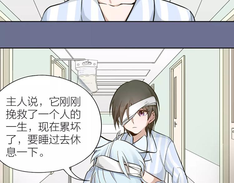 第11话 你是我的小可爱-第12话