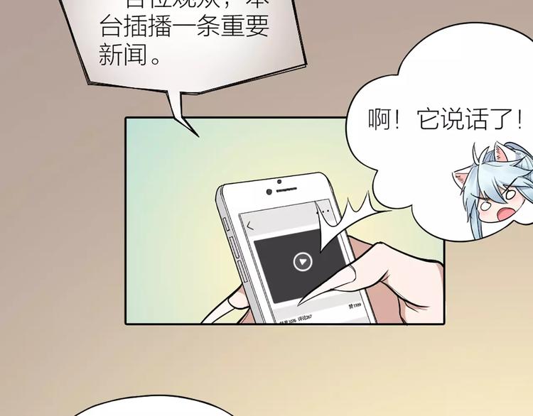 第11话 你是我的小可爱-第12话
