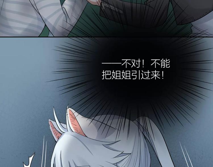 第13话 我的宠物，我来保护(1/2)-第14话