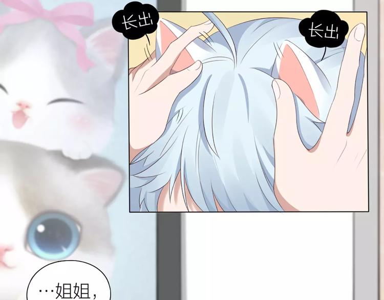 第21话 猫男的朋友们(1/2)-第22话