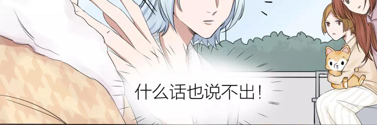 第23话 猫男的求爱方式(1/2)-第24话