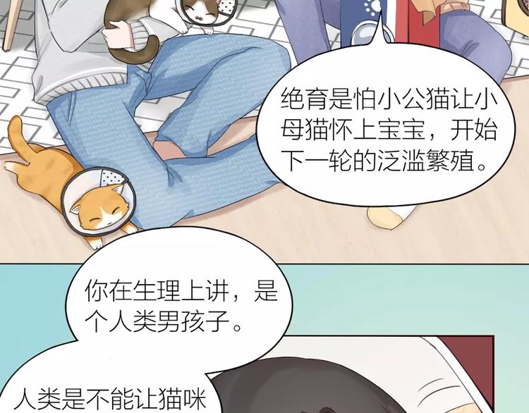 第23话 猫男的求爱方式(1/2)-第24话