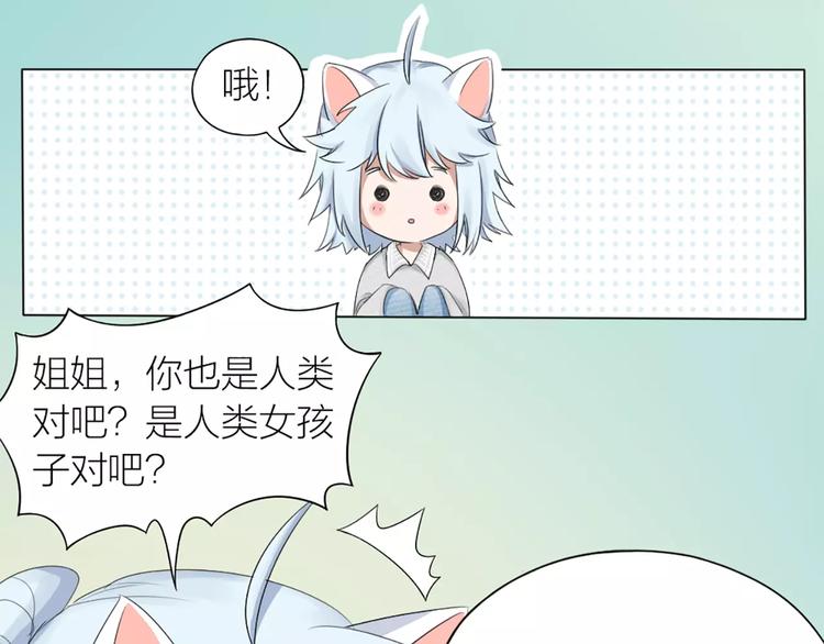第23话 猫男的求爱方式(1/2)-第24话