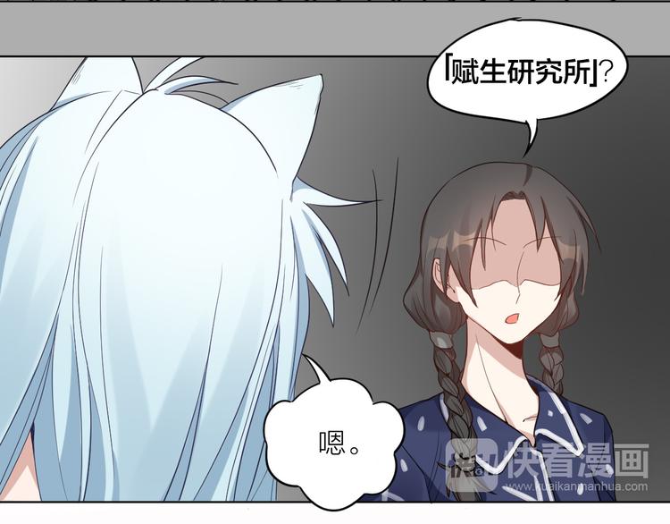 第3话 猫咪肚皮手感棒(1/2)-第4话