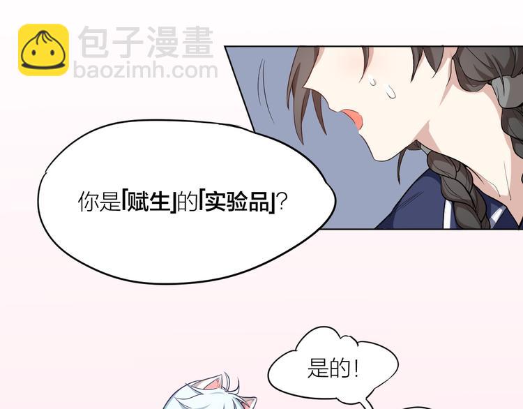 第3话 猫咪肚皮手感棒(1/2)-第4话