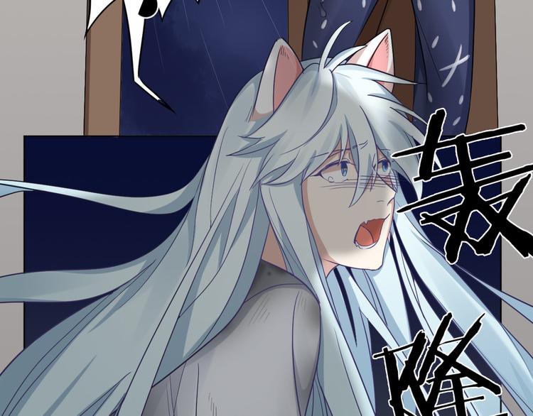 第3话 猫咪肚皮手感棒(1/2)-第4话