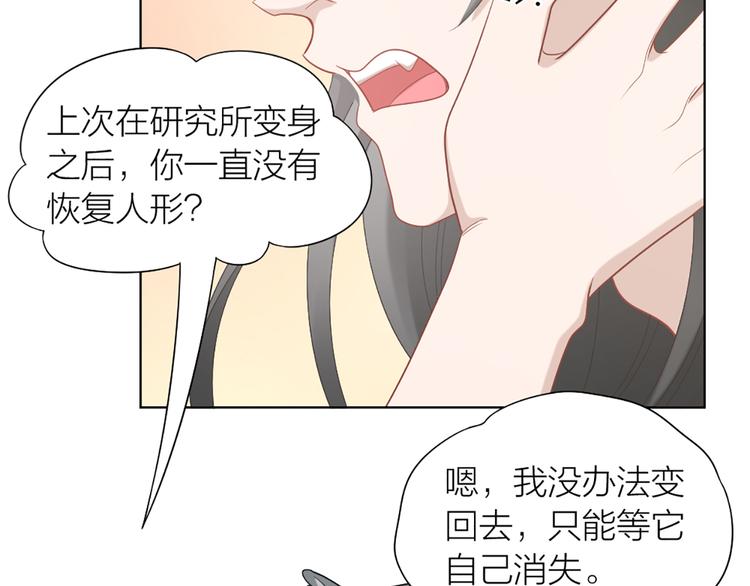 第57话 对主人的真心(1/2)-第60话
