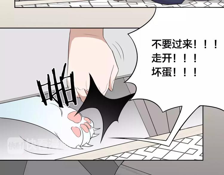 第7话 主人身上的小白云(1/2)-第8话