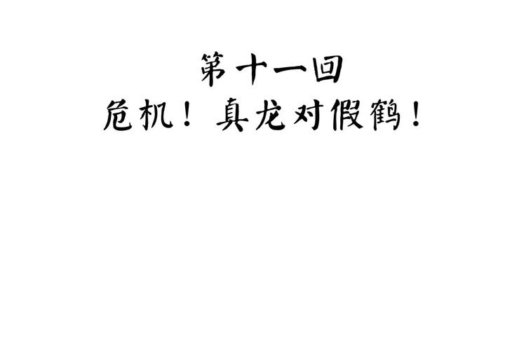 第32话 危机！真龙对假鹤！(1/3)-第40话