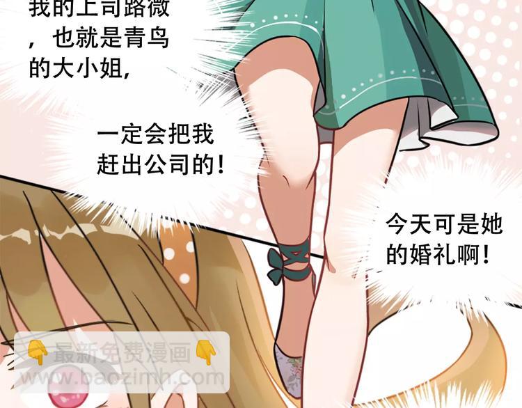 第1话 婚礼取消(1/4)-第2话