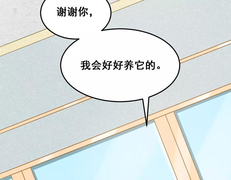 第26话 你的温柔-第28话