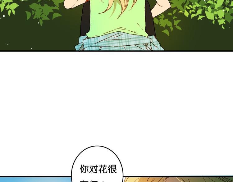 第5话 危险的花(1/2)-第6话