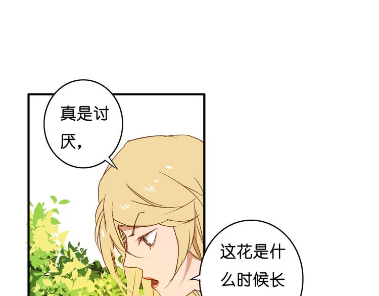 第5话 危险的花(1/2)-第6话