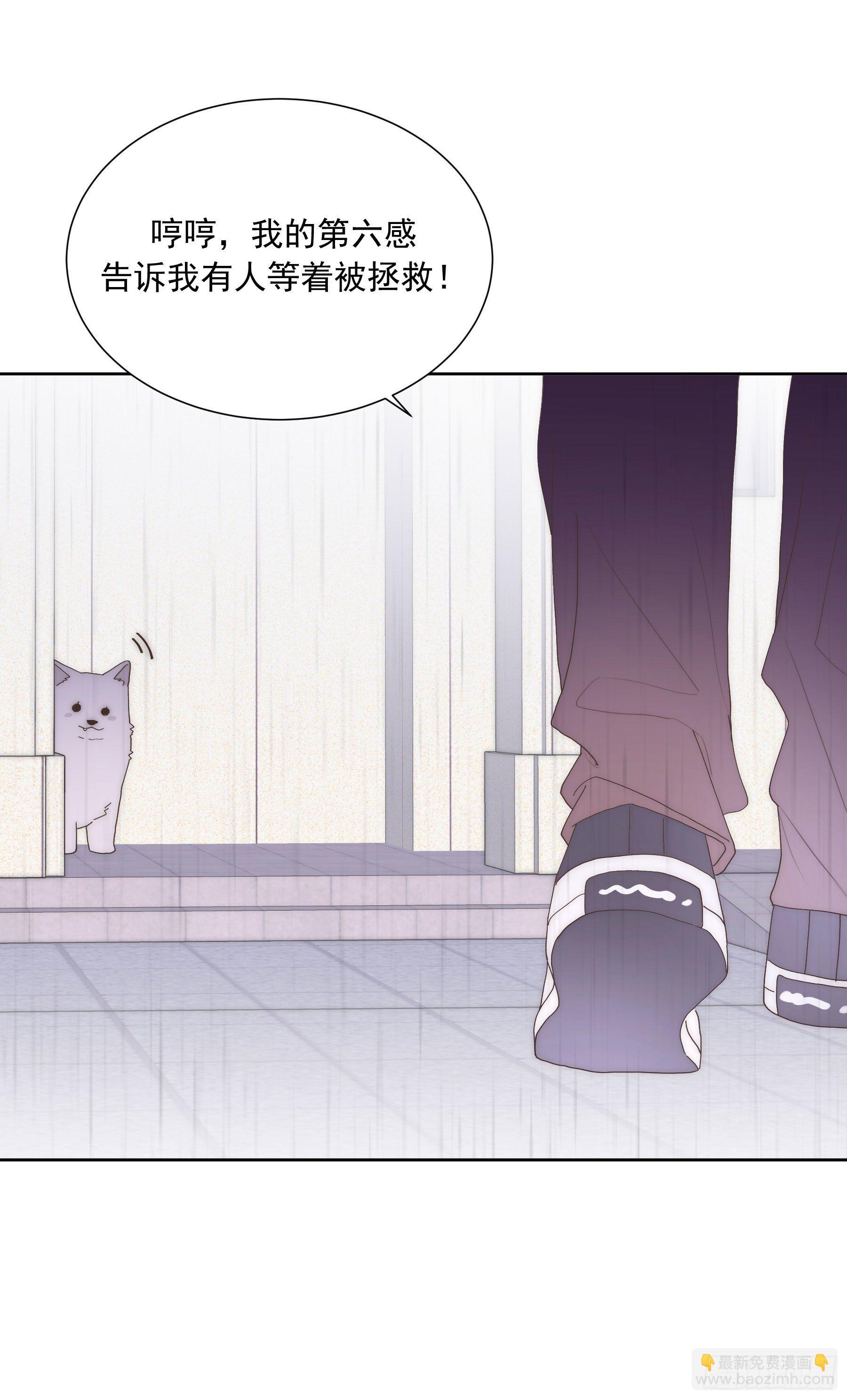 第14颗：见面(1/2)-第18话