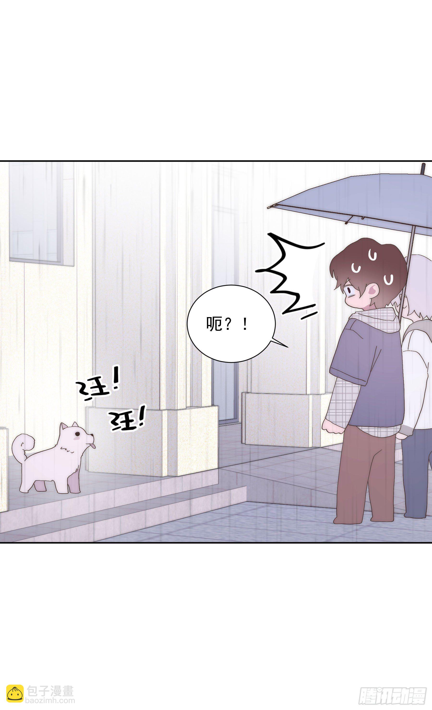 第14颗：见面(1/2)-第18话