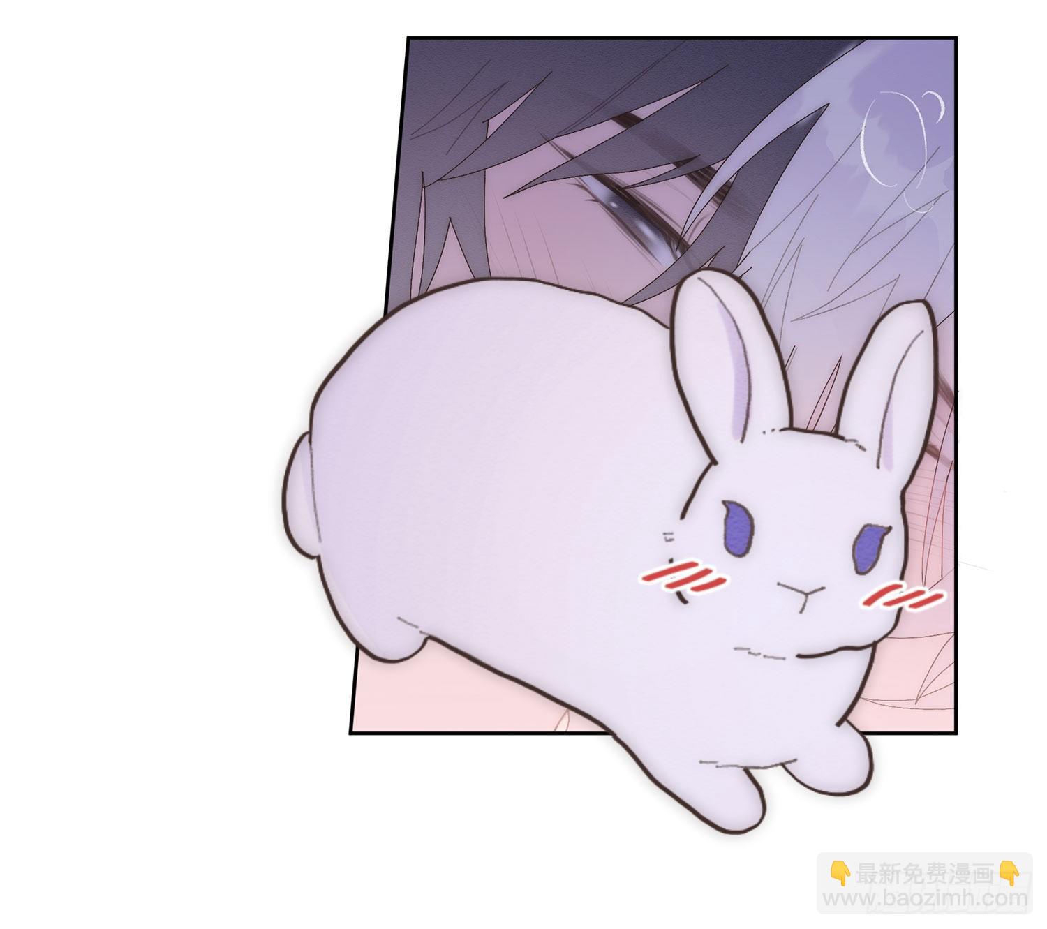 第29颗：说明-第36话
