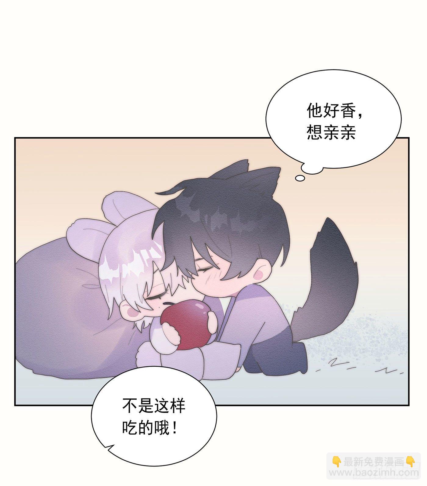 第35颗：争论-第42话