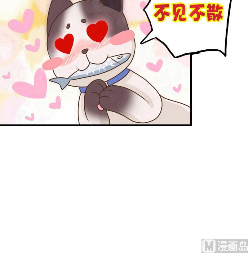 第54话 再见白老板-第54话