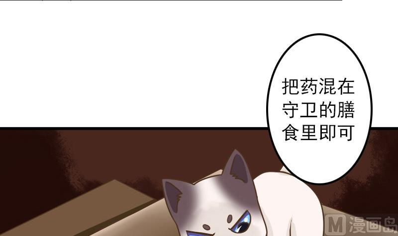 第10话 越狱-第10话
