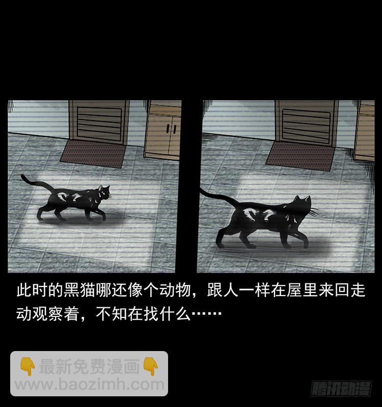 141黑猫杀人事件(1/2)-第126话
