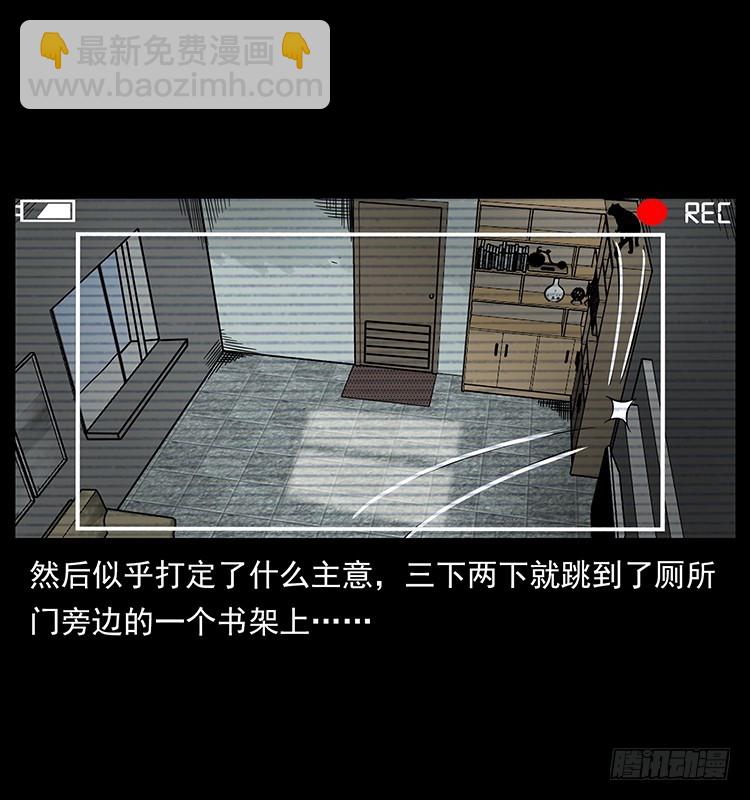 141黑猫杀人事件(1/2)-第126话