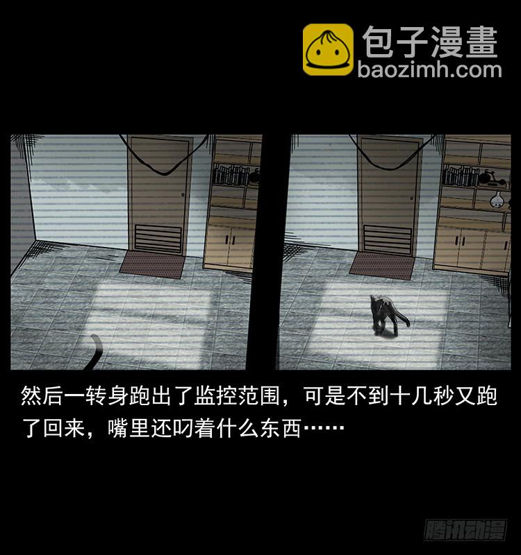141黑猫杀人事件(1/2)-第126话