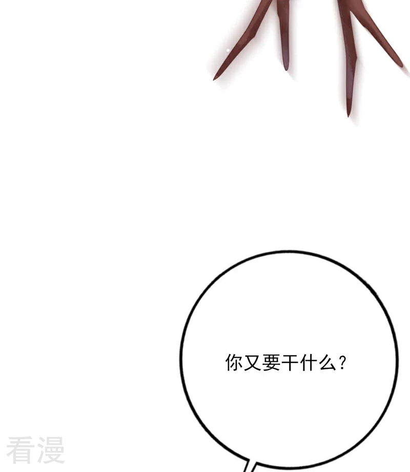 第66话 喜欢的人-第72话