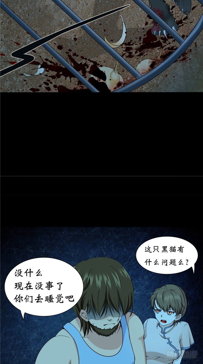 第14话 野猫-第14话