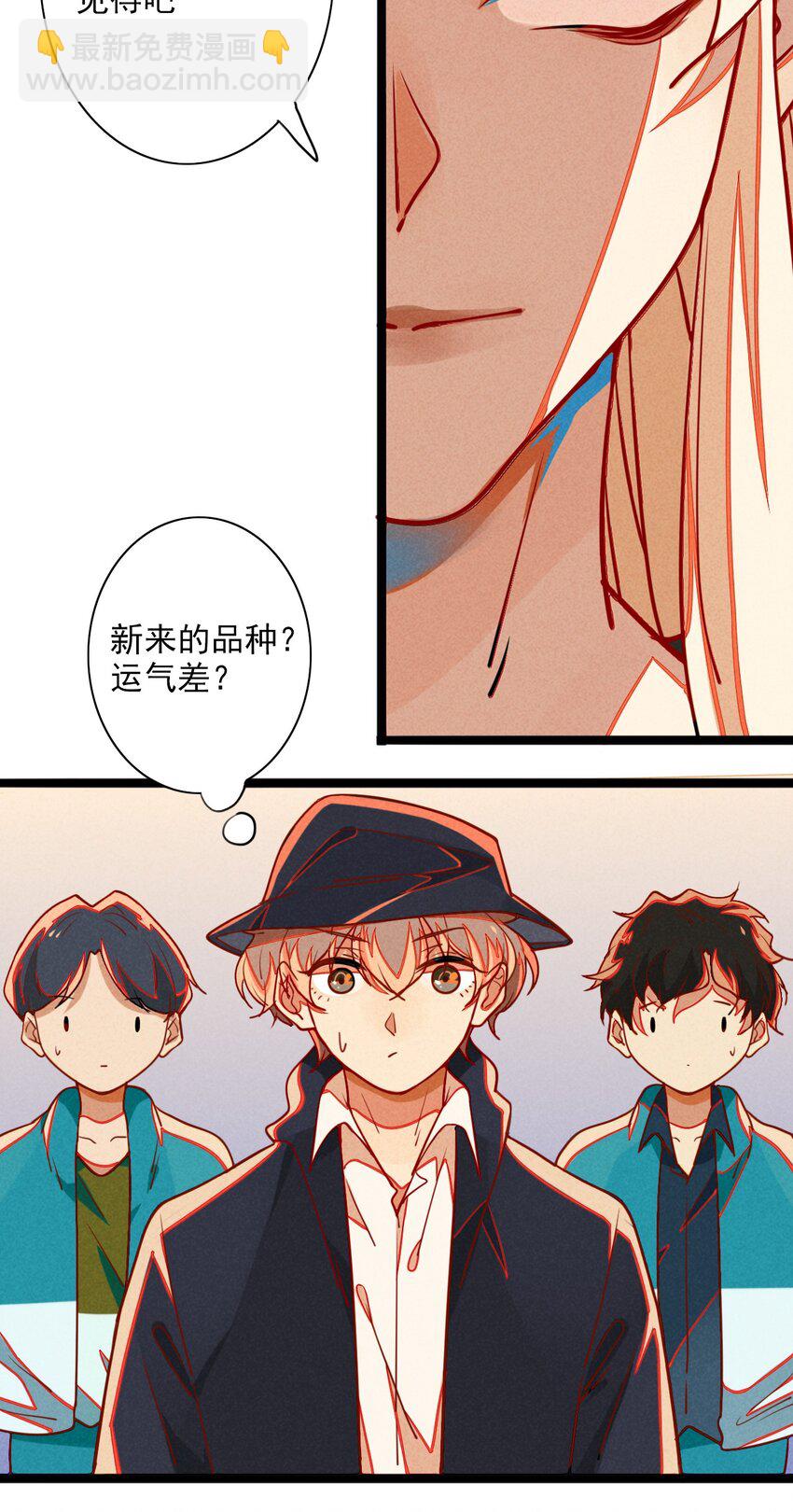 4 可爱的外表下是危险(1/2)-第4话