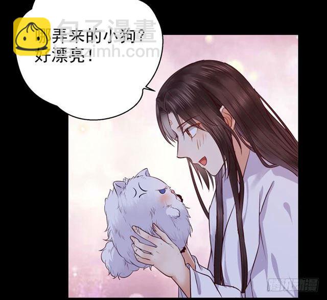 🍸鬼医凤九 被推倒了 第27页