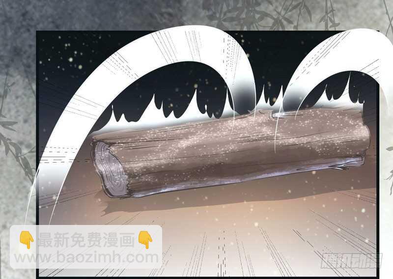 🍸鬼医凤九 神魂木 第33页