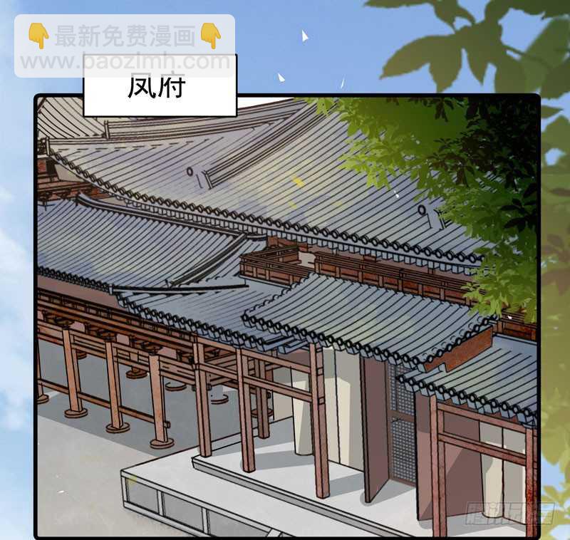 🍸鬼医凤九 命悬一线 第17页