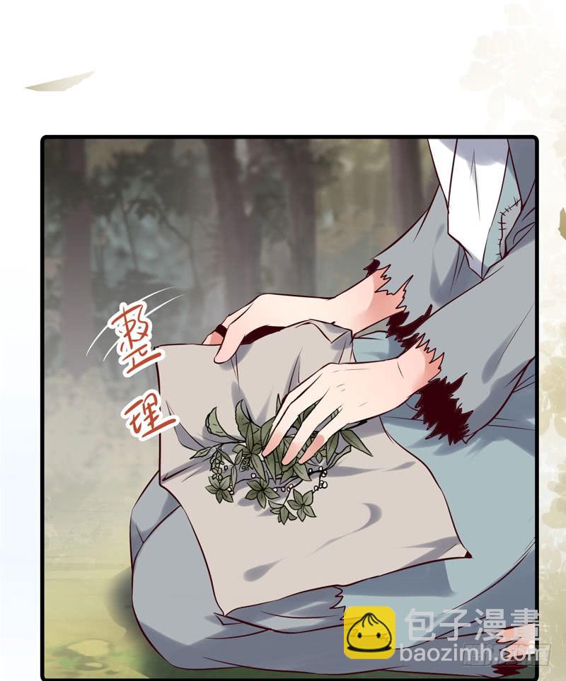 🍸鬼医凤九 冲着老白来 第17页